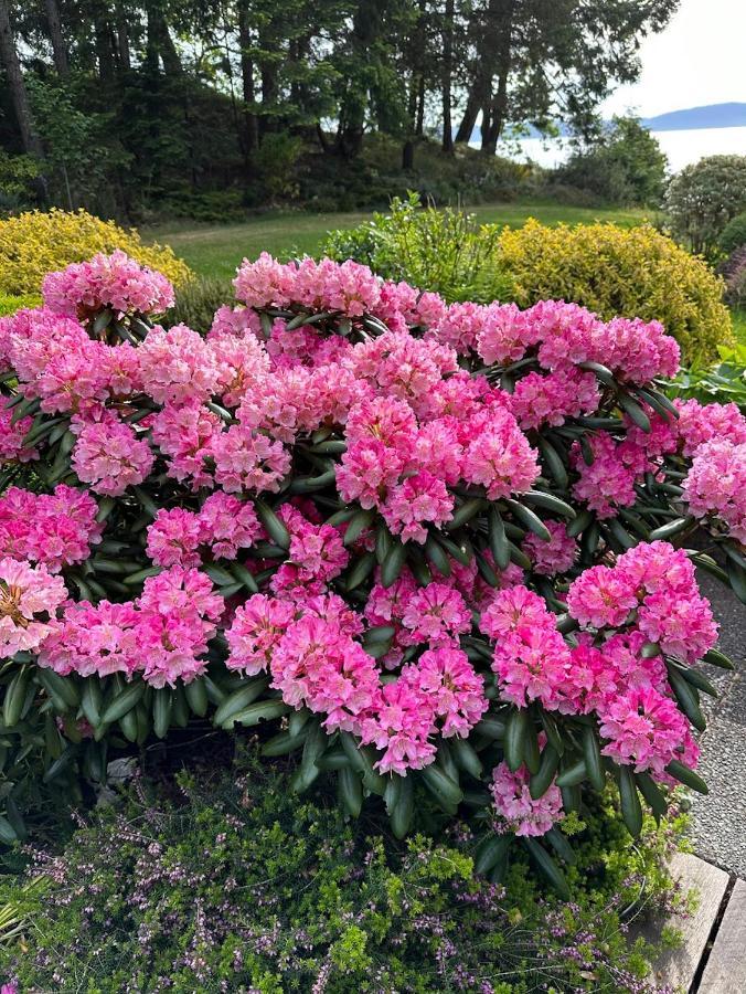 Sealavie Rare Peaceful & Hidden Gem Shore House 레이디스미스 외부 사진